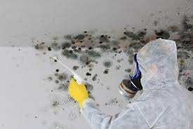 Best HVAC Mold Inspection and Cleaning  in West Point, VA